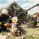 Kako izbrati pravo motorno žago motorna-zaga-2